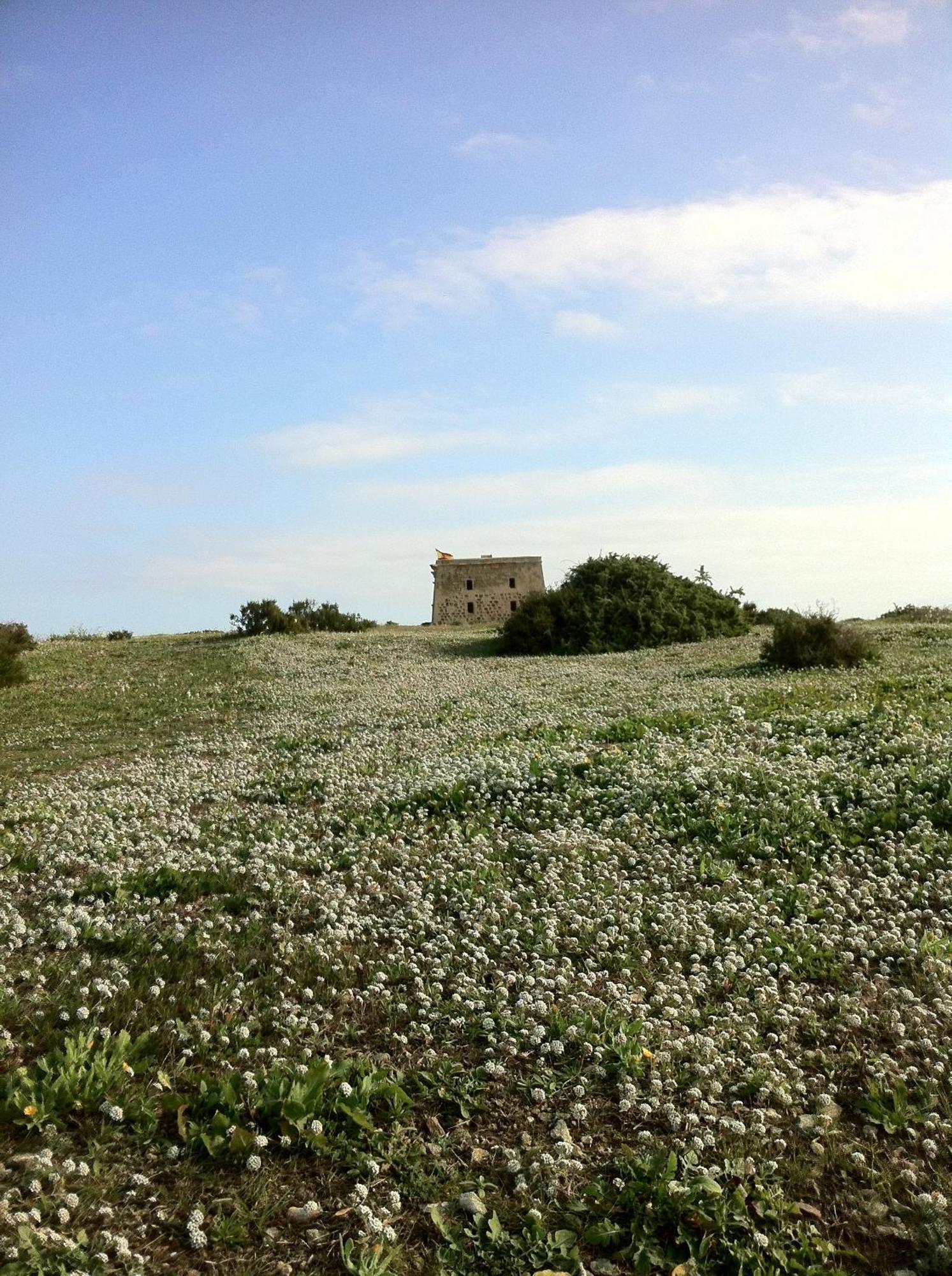 Boutique Isla Tabarca Hotel Eksteriør billede